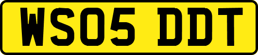 WS05DDT