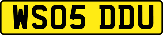 WS05DDU