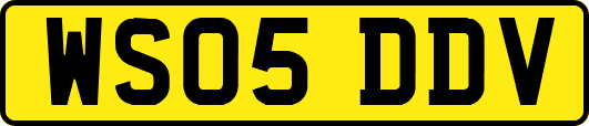 WS05DDV