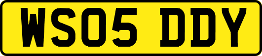 WS05DDY