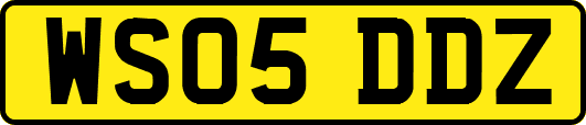 WS05DDZ