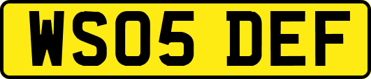 WS05DEF