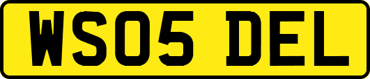 WS05DEL