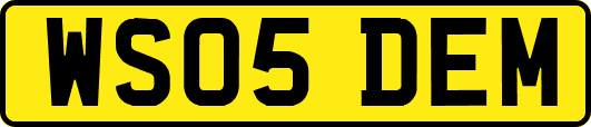 WS05DEM