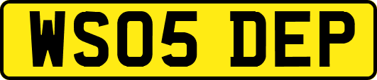 WS05DEP