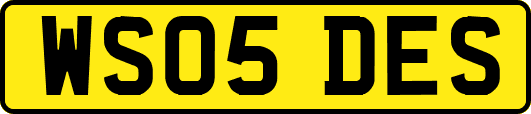 WS05DES