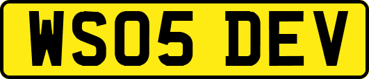 WS05DEV