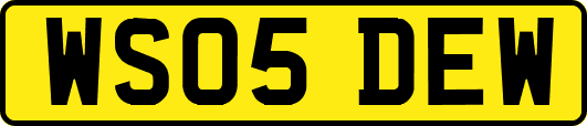 WS05DEW