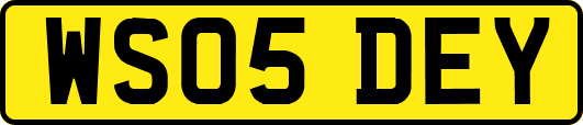 WS05DEY