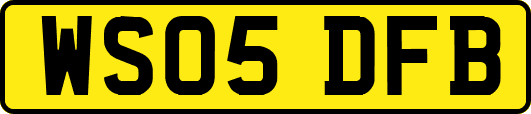 WS05DFB