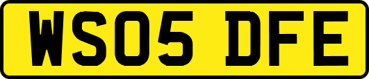 WS05DFE