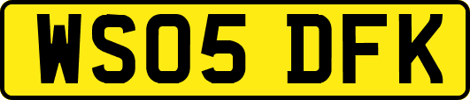 WS05DFK