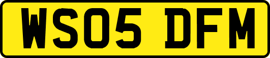 WS05DFM