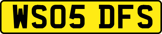 WS05DFS