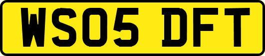 WS05DFT