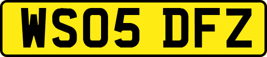 WS05DFZ