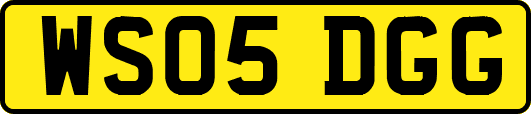 WS05DGG