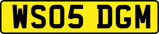 WS05DGM