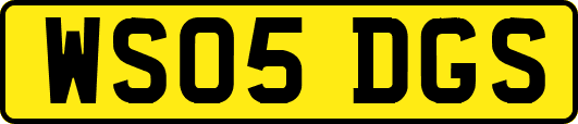 WS05DGS