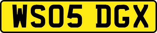 WS05DGX