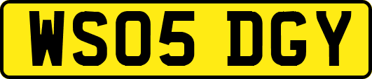 WS05DGY