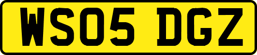 WS05DGZ