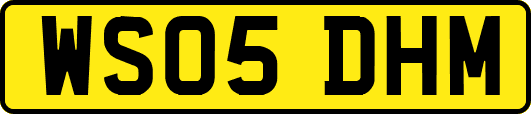 WS05DHM