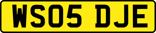 WS05DJE