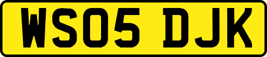 WS05DJK