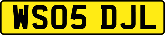 WS05DJL