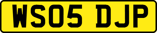 WS05DJP