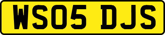 WS05DJS