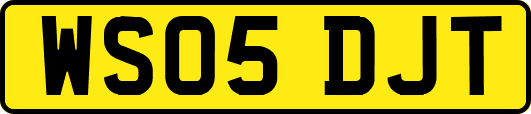 WS05DJT
