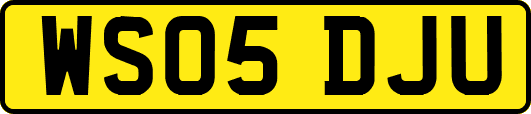 WS05DJU