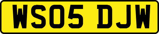 WS05DJW