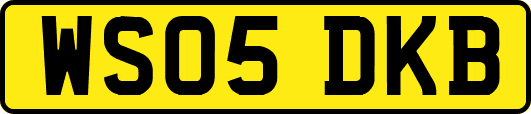 WS05DKB