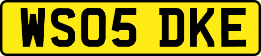 WS05DKE