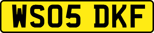 WS05DKF