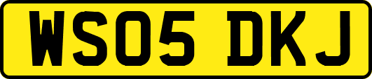 WS05DKJ