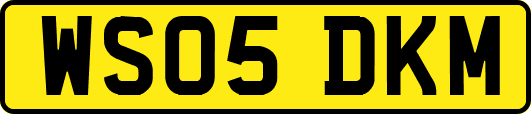 WS05DKM