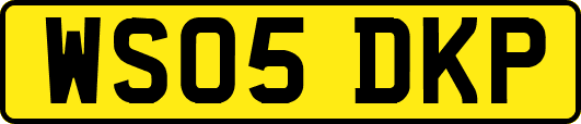 WS05DKP