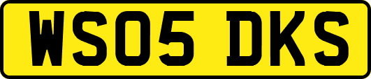 WS05DKS