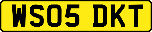 WS05DKT