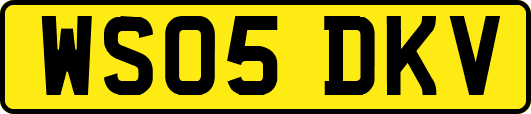 WS05DKV
