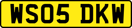 WS05DKW