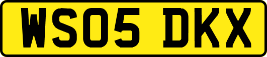 WS05DKX