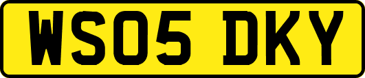 WS05DKY