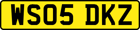 WS05DKZ