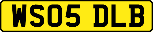 WS05DLB