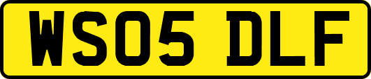 WS05DLF